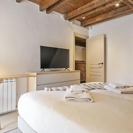 Apartment Luderna - Duplex Aiguamog Arties